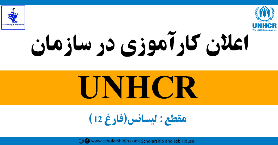 The Unhcr Internship For International Applicants Pply Now